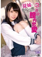 独占従妹に勃起した俺 ダメだと余計に興奮する3日連続の膣内恋愛 桜井千春